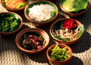 ayurveda spring of life resort