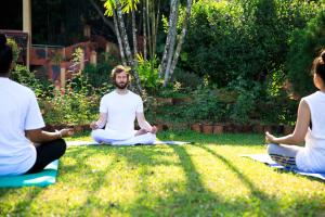 ayurveda spring of life resort