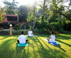 ayurveda spring of life resort