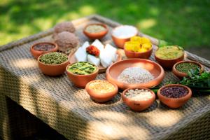 ayurveda spring of life resort