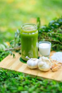 ayurveda spring of life resort