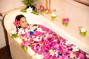 ayurveda spring of life resort