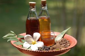 ayurveda spring of life resort
