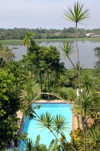 ayurveda spring of life resort