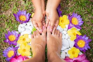ayurveda spring of life resort