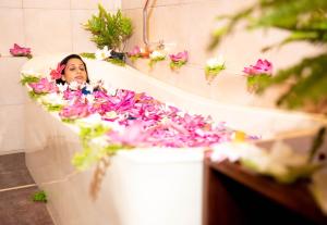 ayurveda spring of life resort
