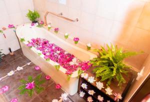 ayurveda spring of life resort