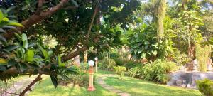 ayurveda spring of life resort