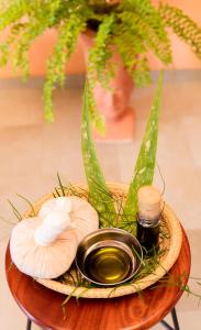 ayurveda spring of life resort