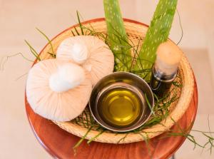 ayurveda spring of life resort