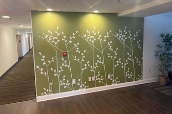 sleep inn and suites