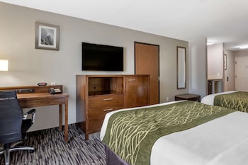 comfort inn and suites