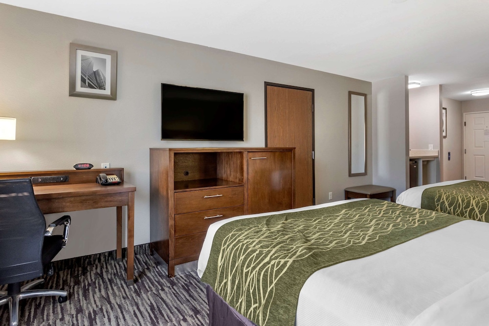 comfort inn and suites