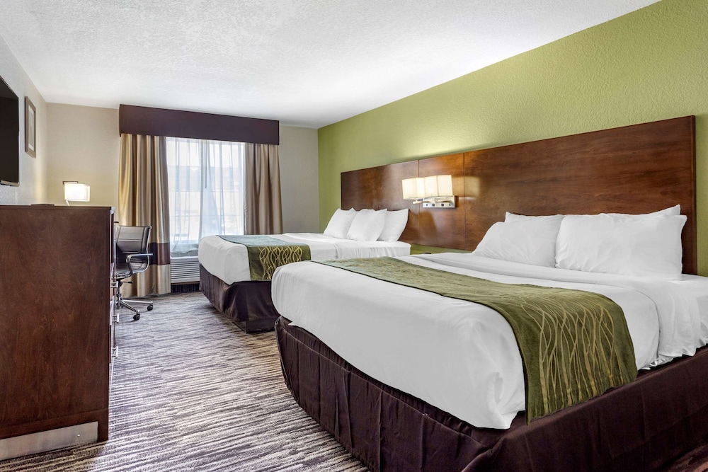 comfort inn and suites