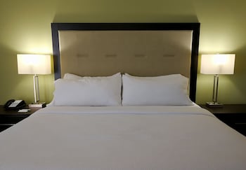 holiday inn corpus christi downtown marina