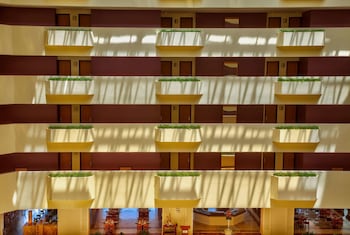 galeria plaza veracruz