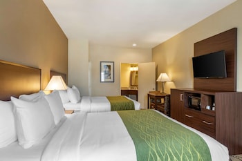 comfort inn and suites orange county john wayne airport