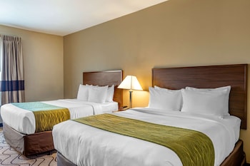 comfort inn and suites orange county john wayne airport