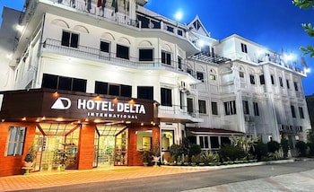 delta international