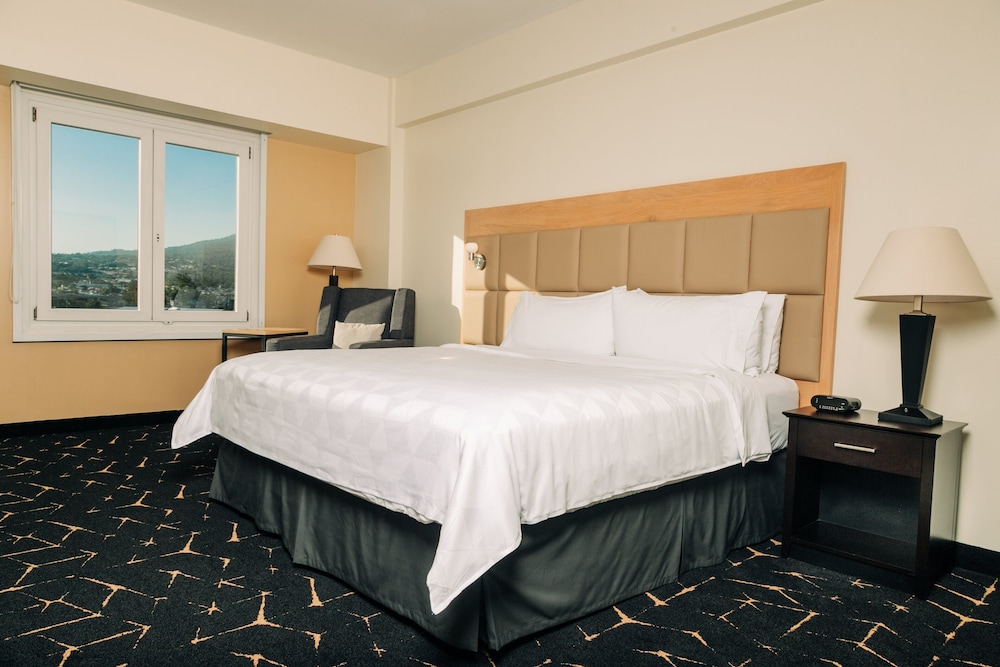 holiday inn san salvador