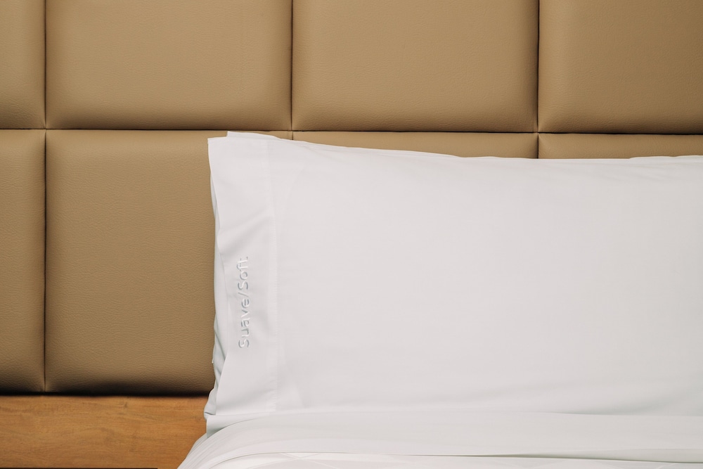 holiday inn san salvador