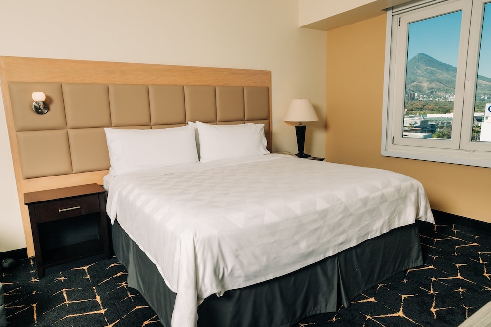 holiday inn san salvador
