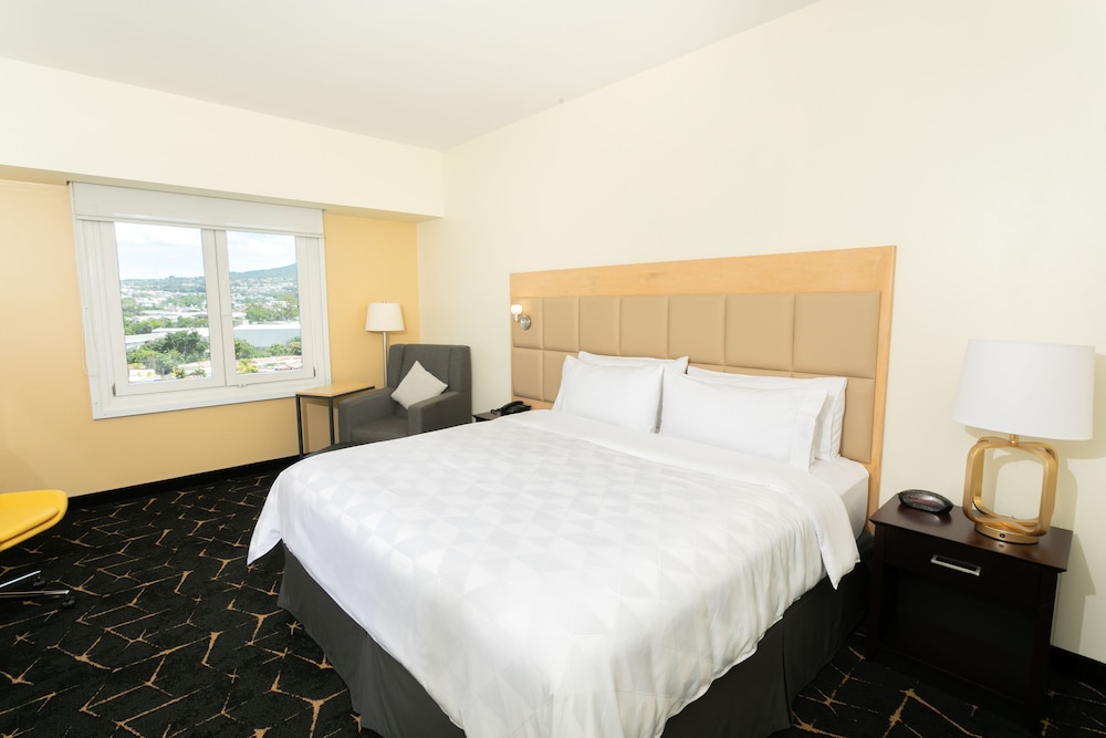 holiday inn san salvador