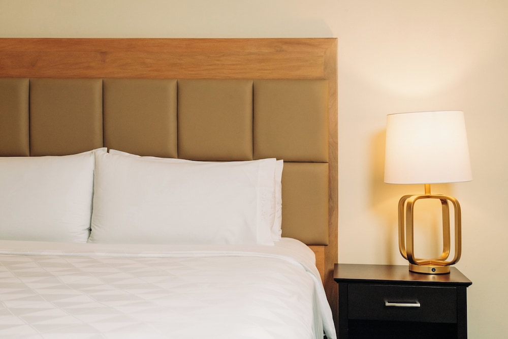 holiday inn san salvador