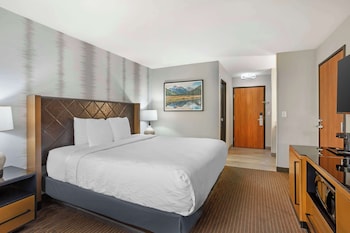 best western holiday hills