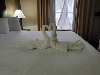 surestay plus hotel by best western plano