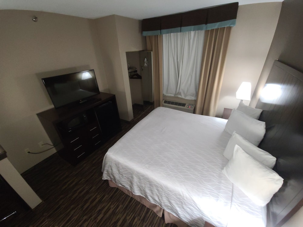 surestay plus hotel by best western plano