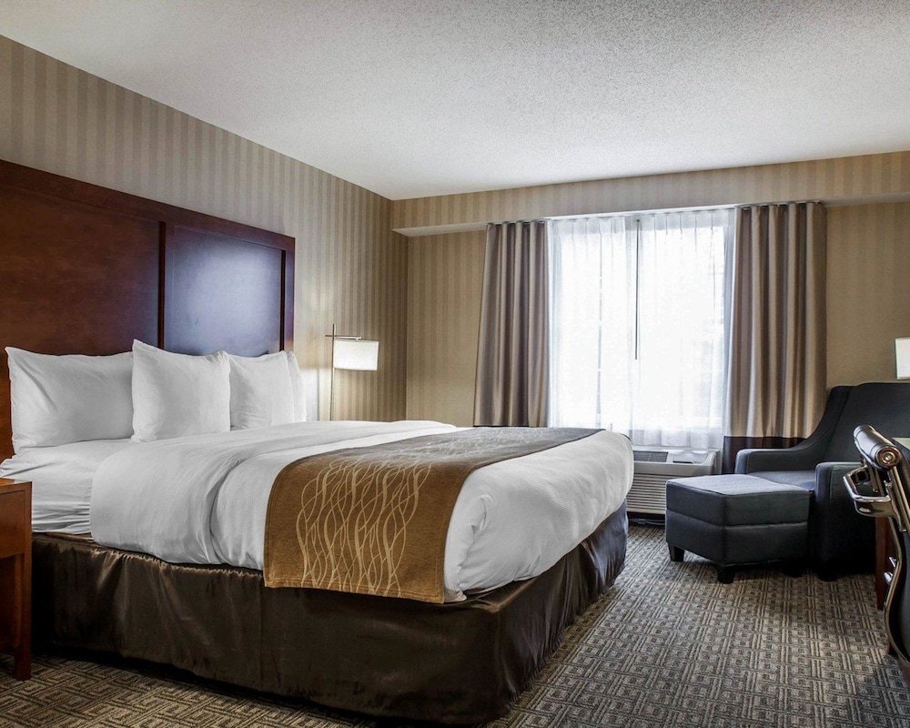 comfort inn and suites sturbridge brimfield