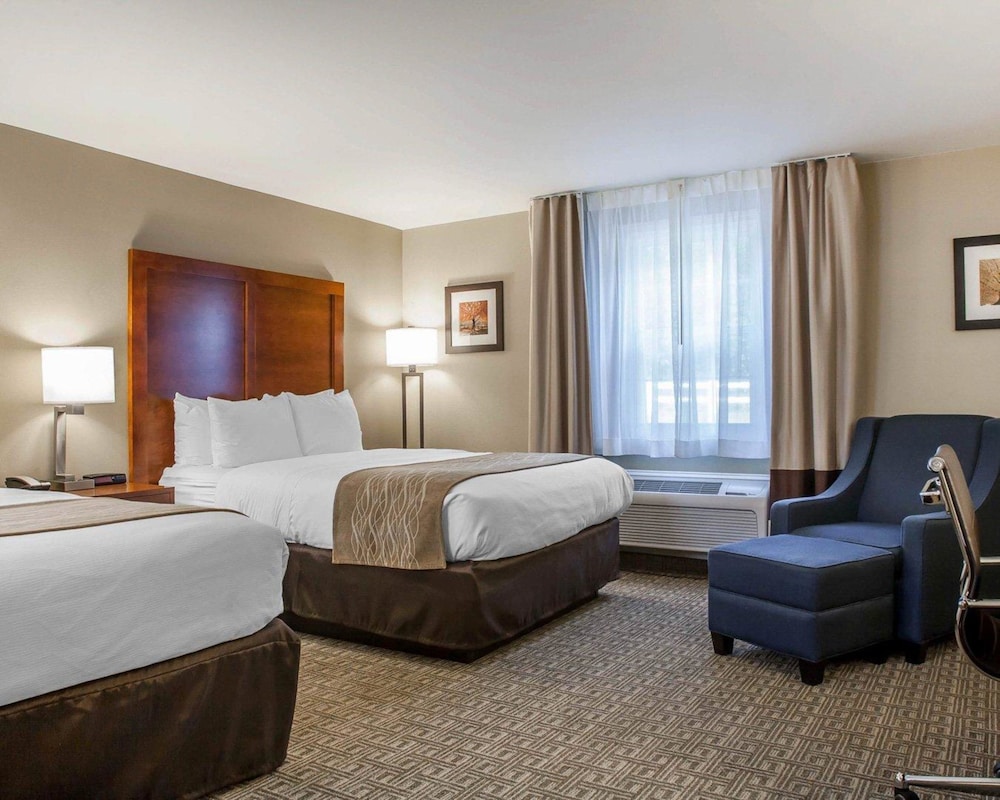 comfort inn and suites sturbridge brimfield