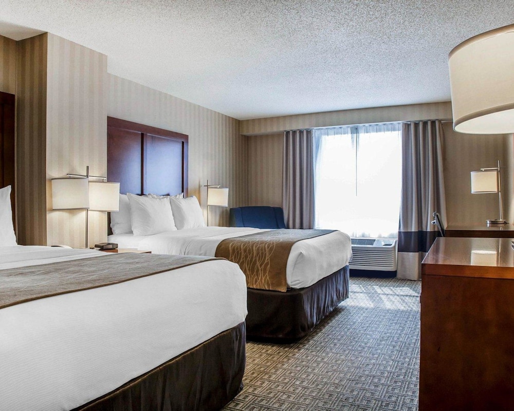 comfort inn and suites sturbridge brimfield