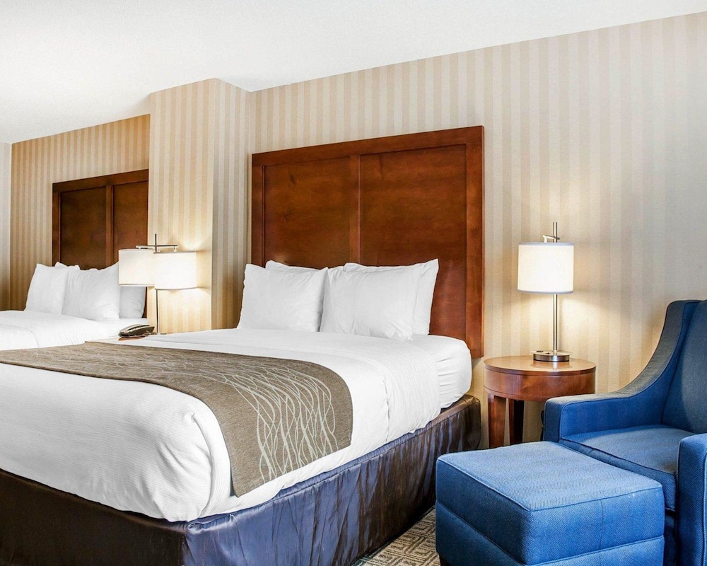 comfort inn and suites sturbridge brimfield