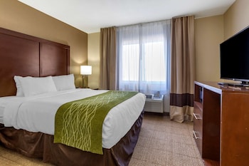 comfort inn and suites alameda at albuquerque balloon fiesta park