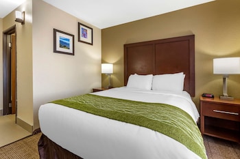 comfort inn and suites alameda at albuquerque balloon fiesta park