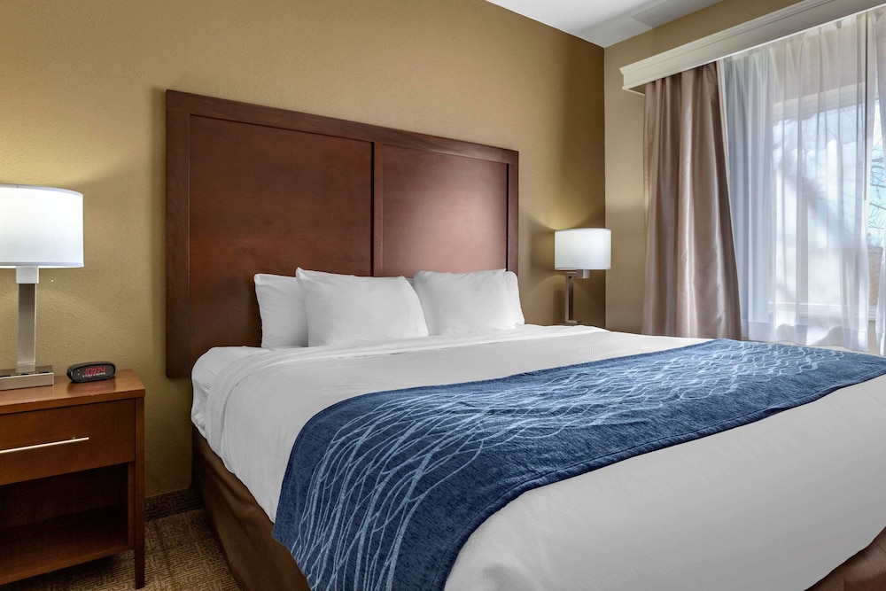 comfort inn and suites alameda at albuquerque balloon fiesta park