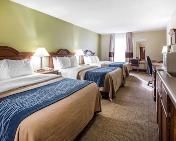 quality inn