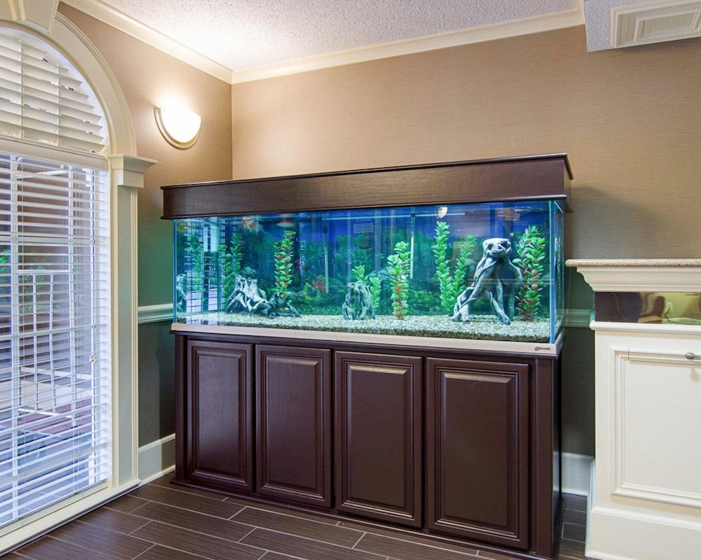 quality inn and suites little rock west