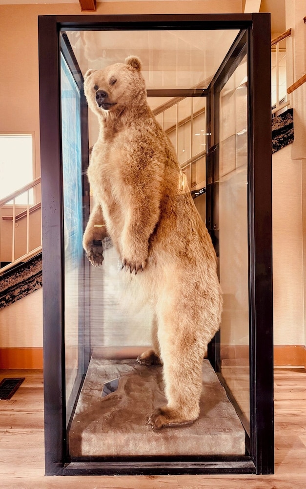 wingate by wyndham anchorage downtown ship creek