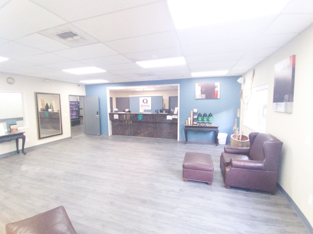 quality inn and suites