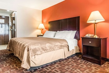 quality inn and suites