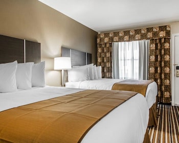 quality inn and suites