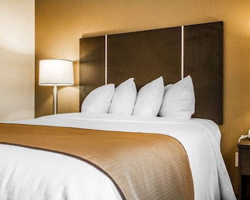 quality inn and suites