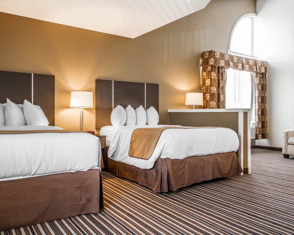 quality inn and suites