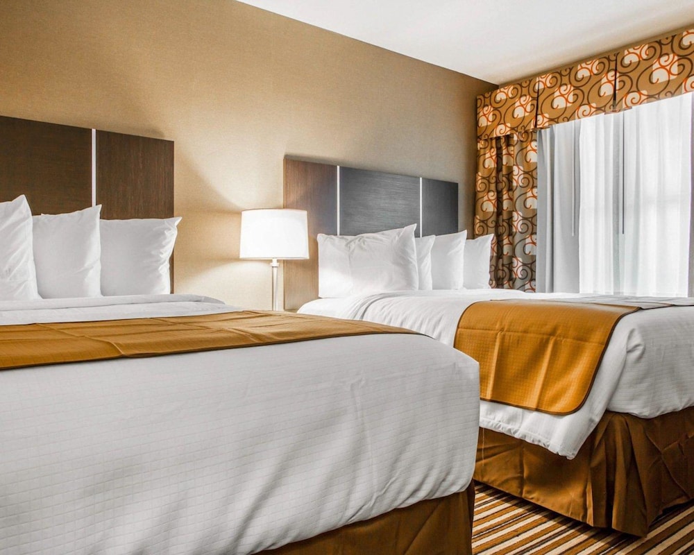 quality inn and suites