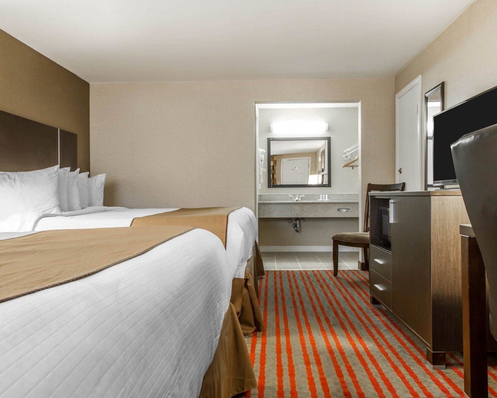 quality inn and suites