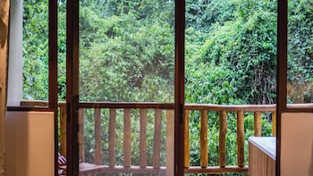 la aldea de la selva