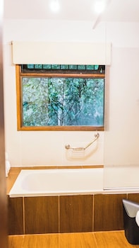 la aldea de la selva